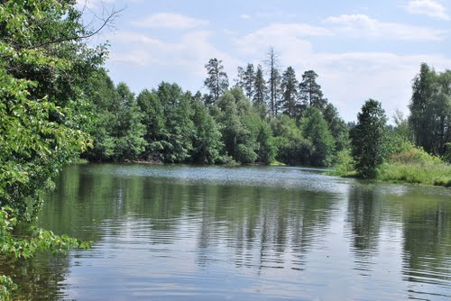 В Бузулукском районе на озере погибла школьница